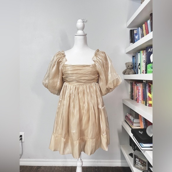 Mabel FRANKIE SHINY ORGANZA BABYDOLL taupe size small - Picture 1 of 16